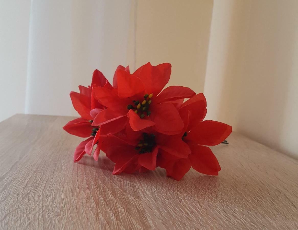Apartment Gia Oradea